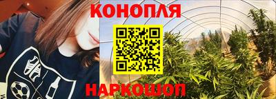 МДПВ Кингисепп