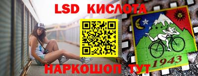 МДПВ Кингисепп