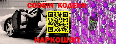 МДПВ Кингисепп