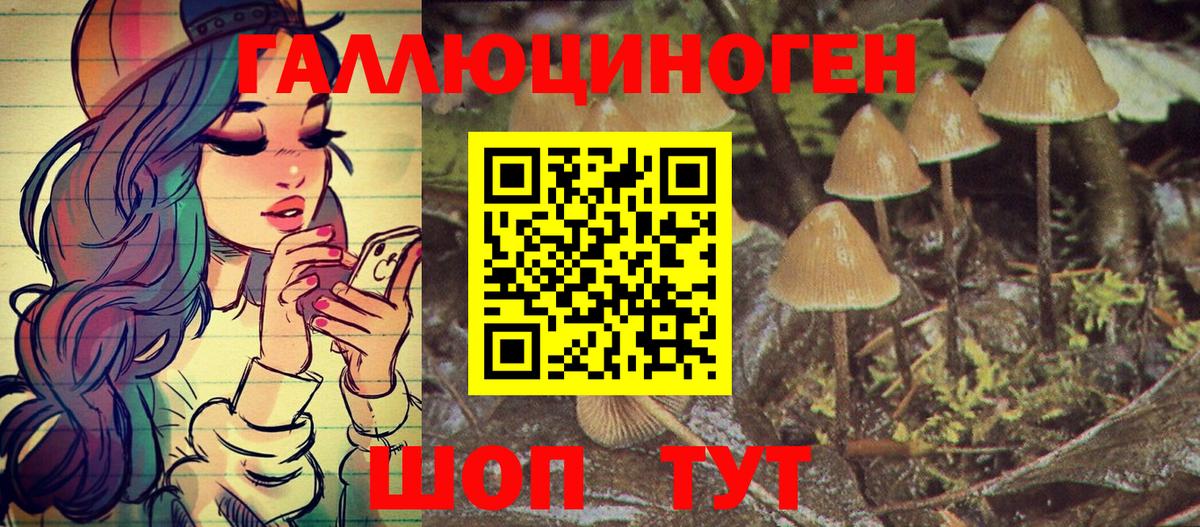 Псилоцибиновые грибы Psilocybine cubensis  Вход с VPN  Галлюциногенные грибы мицелий  Иваново 
