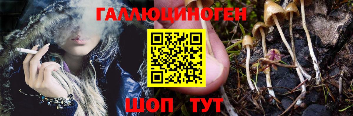 Псилоцибиновые грибы ЛСД Иваново